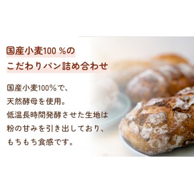 名取 閖上 の ぱんやこてつ 手作り 国産小麦のハード系パンセット