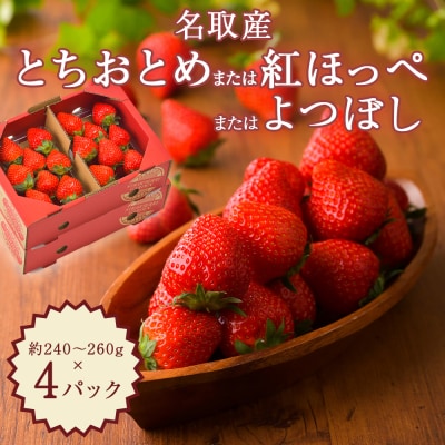 名取産 いちご 約240～260g×4パック