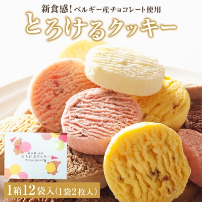 アルパジョン 新食感 ! とろける クッキー 12袋入 ベルギー産 チョコレート 使用