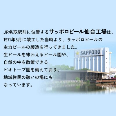サッポロ 濃いめのレモンサワー 350ml×24缶×11回|21_sks-060111a