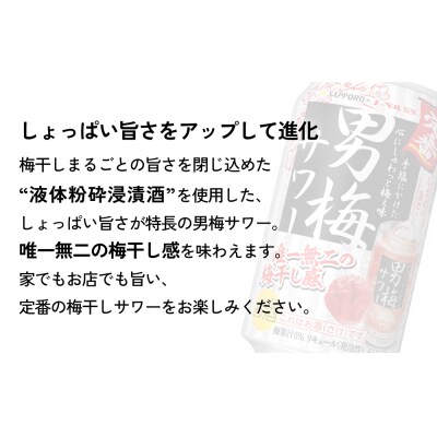 サッポロ 男梅 サワー 350ml×24缶(1ケース)×定期便12回(合計288缶)