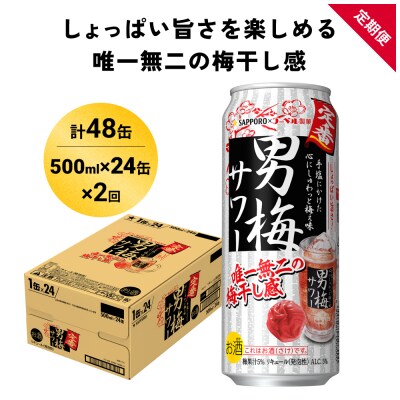 サッポロ 男梅 サワー 500ml×24缶(1ケース)×定期便2回(合計48缶)  缶 チューハイ