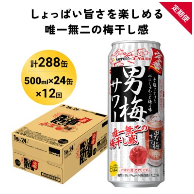 サッポロ 男梅 サワー 500ml×24缶(1ケース)×定期便12回(合計288缶) 缶 チューハイ