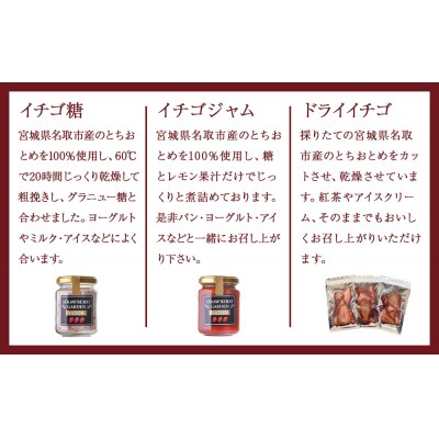 名取産 いちご とちおとめ で作った イチゴ糖 イチゴジャム ドライイチゴ