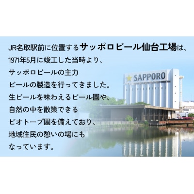 ニッポン の シン ・ レモンサワー 500ml×24缶(1ケース)×定期便6回 (合計144缶)
