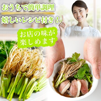 【期間限定】【10月上旬以降より順次出荷】「せり鍋セット」4、5人前(漁亭 浜や)