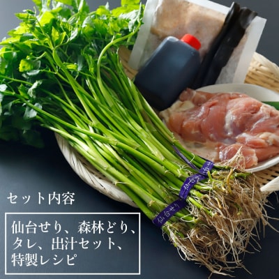 【2025年先行予約】【お届け日時指定必須】「せり鍋セット」2、3人前×2箱セット