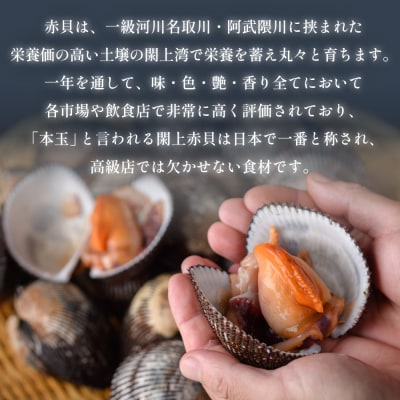 【 漁亭 浜や 】　 閖上 赤貝 の 刺身