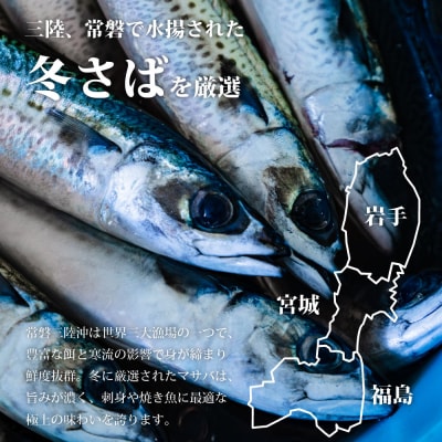 魚のおんちゃま 三陸常磐産 サバ 骨取切り身 30g×20枚入