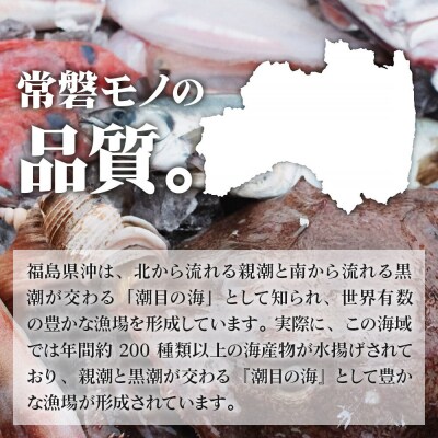 常磐モノ4種入り ゴロゴロ海鮮ユッケ丼 100g×5P|21_sss-140501
