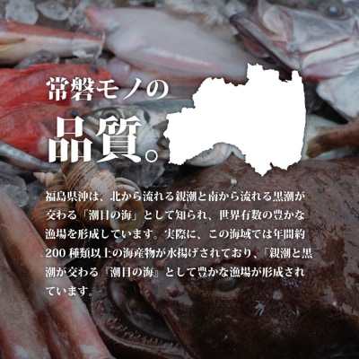 魚のおんちゃま 常磐4種 海鮮 ゴロゴロユッケ丼 100g×5P