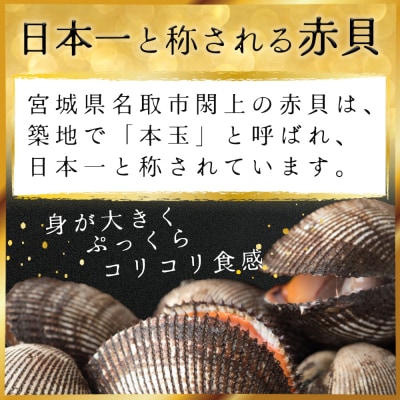 【閖上赤貝】まるごと赤貝　1個入り