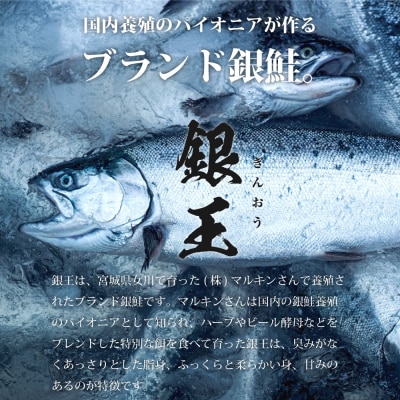 センシン食品 ※無塩※ 銀鮭切り身 30g×20枚　チャックポリ入り