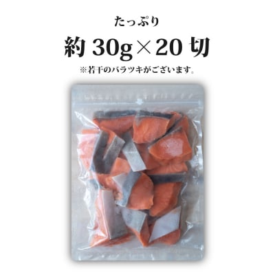 センシン食品 ※無塩※ 銀鮭切り身 30g×20枚　チャックポリ入り