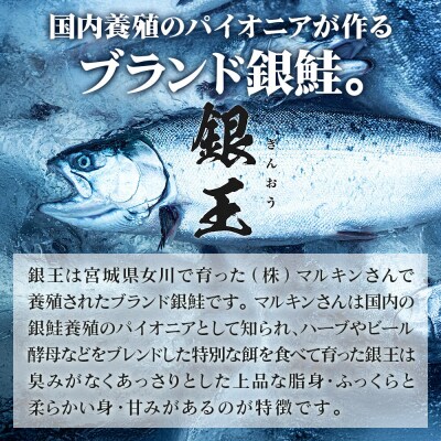 銀鮭 骨取切り身 約30g×20枚 計600g センシン食品|21_sss-082001