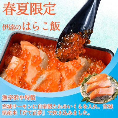 伊達のはらこ飯1人前　みやぎ飯【宮城さーもん】【配送期間限定4月～8月中旬】