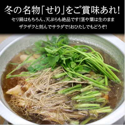 【期間限定】根が魅力の仙台龍神せり鍋出汁セット(セリ鍋用出汁・スープ付)(300g)2~3人前