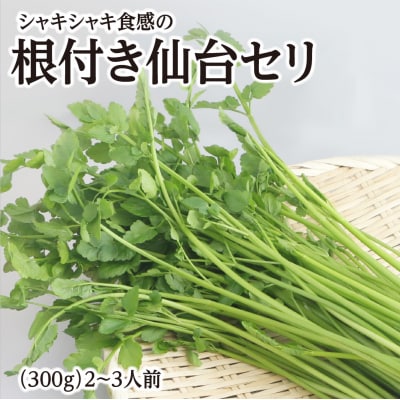 【期間限定】シャキシャキ食感の根付き仙台セリ(300g)2~3人前
