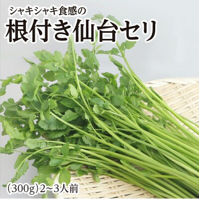 【期間限定】シャキシャキ食感の根付き仙台セリ(300g)2～3人前|21_lft-310301