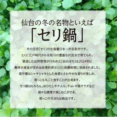 【期間限定】根付き仙台セリ鍋出汁セット(セリ鍋用出(600g)5～6人前