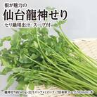 【期間限定】根が魅力の仙台龍神せり鍋出汁セット(セリ鍋用出汁・スープ付)(500g)4～5人前