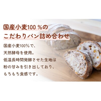 【3ヵ月定期便】名取 閖上のぱんやこてつ 手作り 国産小麦のハード系パンセット 8枚カットしてお届け