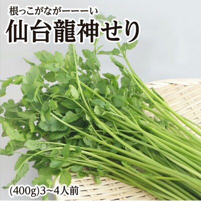 【期間限定】根っこがながーーーい　仙台龍神せり(400g)3～4人前|21_lft-300401