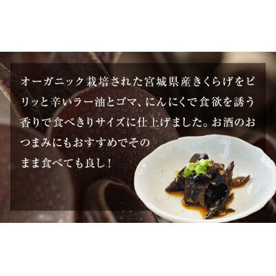 名取市産 きくらげ の トマンネーゼ きくらー油 90g×5袋セッ|21_icr-020501