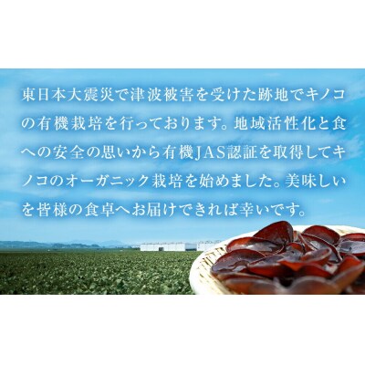 名取市産 しいたけ たけ蔵パウダー 20g×10袋セット 乾燥椎茸 粉末|21_icr-041001
