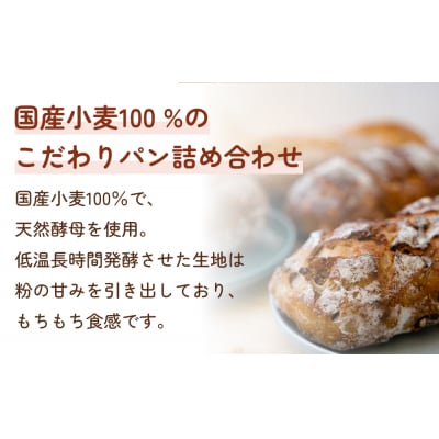【5ヵ月定期便】名取 閖上 の ぱんやこてつ 手作り 国産小麦のハード系パンセット