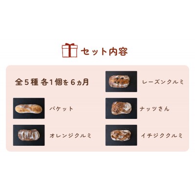 【6ヵ月定期便】名取 閖上 の ぱんやこてつ 手作り 国産小麦のハード系パンセット