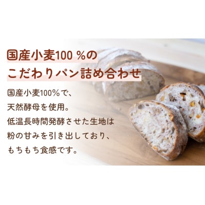 【9ヵ月定期便】名取 閖上のぱんやこてつ 手作り 国産小麦のハード系パンセット 8枚カットしてお届け