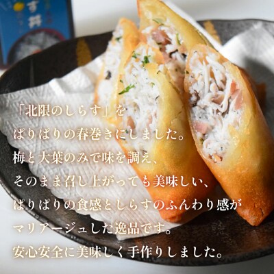 閖上 しらす 春巻き (生12本)漁亭 浜や