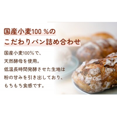 【8ヵ月定期便】名取 閖上 の ぱんやこてつ 手作り 国産小麦のハード系パンセット