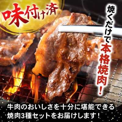 真空焼肉3種セット 300g×3種×2袋 味付け牛肉 焼くだけ 簡単調理|21_msy-010201