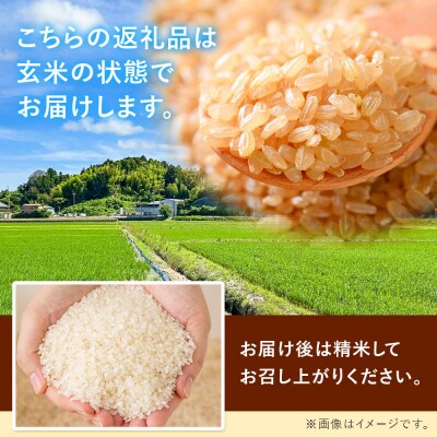 令和8年産 新米 早期受付 つや姫 玄米 10kg 宮城県名取市産|21_mam-011001s