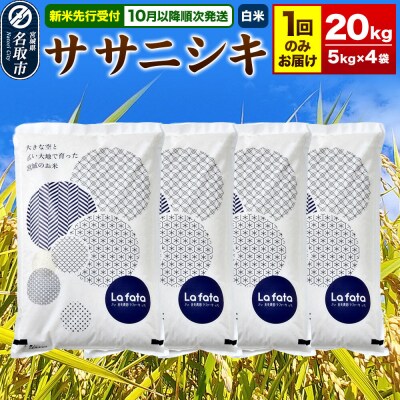 10月以降発送 ササニシキ 20kg(5kg×4) 令和8年産|21_lft-402001