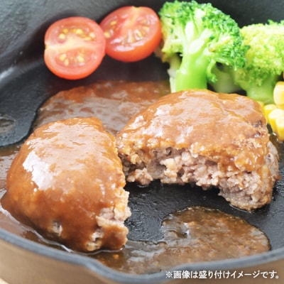 驚く触感!ハンバーグ 90g×12個入り|21_tsh-011201