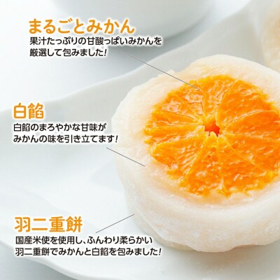 和菓子 甘仙堂 みかん丸ごと1個入った みかん大福 6個入り|21_ksd-090601
