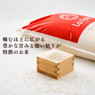 10月以降発送 定期5ヶ月 ゆうだい21 10kg×1袋  令和8年産|21_lft-411005