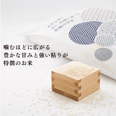 10月以降発送 定期4ヶ月 ゆうだい21 5kg×1袋  令和8年産|21_lft-410504