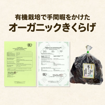 珍しいオーガニックきくらげ栽培場 収穫体験×3名様|21_icr-090301