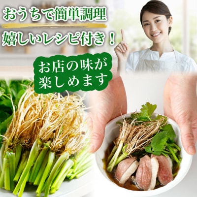 仙台せり鍋セット 野田鴨 漁亭 浜や 野田鴨で食す 4～5名|21_hmy-020101