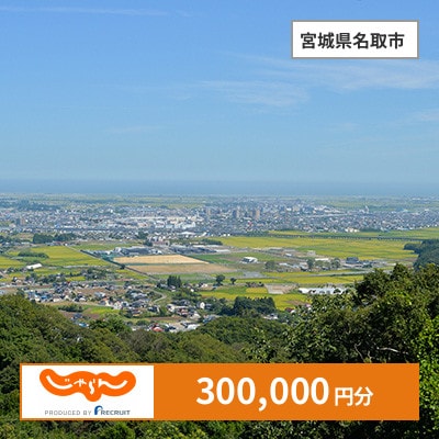 【じゃらんふるさと納税クーポン】 宮城県名取市でつかえる300,000円 クーポン