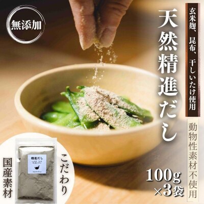 天然 精進 だし 100g&times;3袋 無添加 国産 素材 玄米 麹 昆布 干 しいたけ