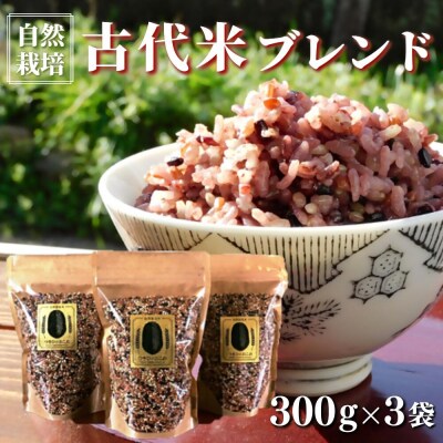 自然栽培 古代米 ブレンド 300g×3袋 【赤米・黒米・みどりもち】 | ふるさと納税のお礼品
