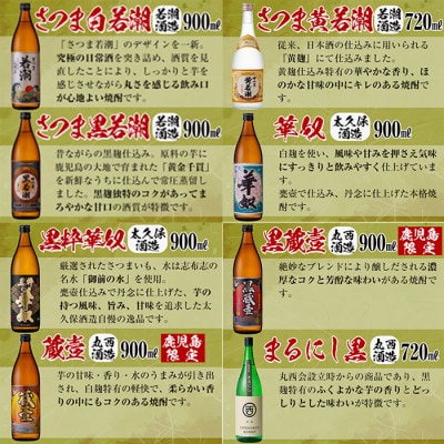 志布志蔵元自慢の焼酎12本セット(720ml×5種・900ml×7種)　e4-007