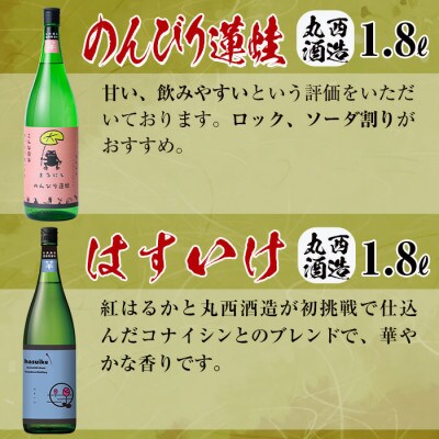 志布志焼酎大きな”志”満足セット!計10.8L(1800ml×6本) e7-015