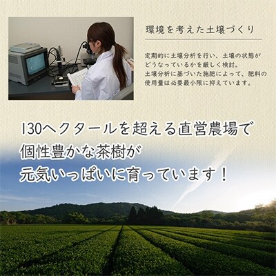 鹿児島産茶葉100%使用!茶葉の栄養を丸ごと!【粉末緑茶缶セット】60g×3缶
