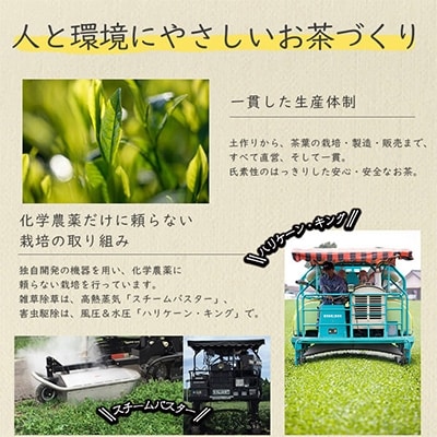 鹿児島産茶葉100%使用!【深蒸し煎茶缶セット】80g×3
